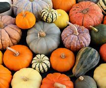 Image result for Calabaza Pequena