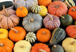 Image result for Calabaza
