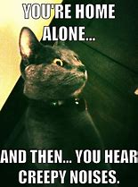 Image result for Yeet Cat Meme