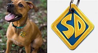 Image result for Scooby Doo Collar Logo