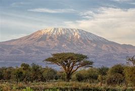 Image result for kilimanjaro