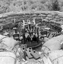 Image result for 25Mm Anti-Aircraft Gun