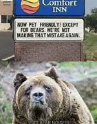 Image result for Bear Safety Memes