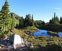 Image result for Olympic National Park Beach Camping