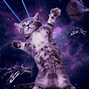 Image result for Laser Cat in Space Images