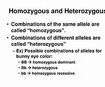 Image result for What Is Homozygous