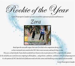 Image result for Rookie of the Year Certificate Template