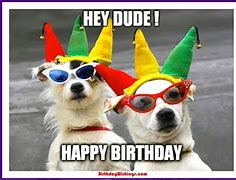 Image result for Happy Birthday Meme Cute Animals