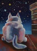 Image result for Shooting Stars Cat