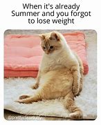 Image result for Puma Fat Cat Meme