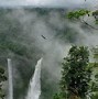 Image result for Amazon Forest Images HD