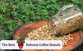 Image result for Robusto Coffee Brand