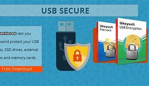 Image result for Flash Drive with Security Password