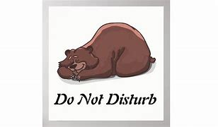 Image result for Do Not Disturb Sleeping Funny
