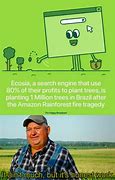 Image result for Amazon Forest Memes