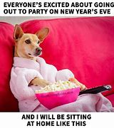 Image result for Funny New Year's Eve Greetings