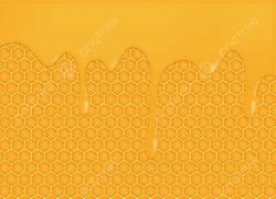 Image result for Honey with Comb