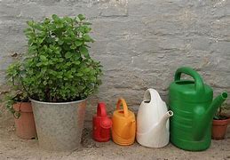 Image result for Watering Can with Scale