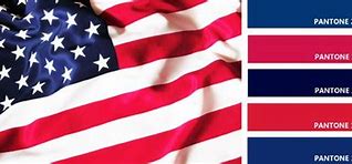 Image result for American Flag PMS Colors
