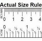 Image result for Printable 1 Foot Ruler Actual Size