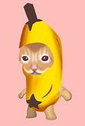 Image result for Cat with a Banana Meme Face