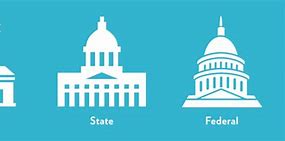 Image result for Federal-Local Sate Logo