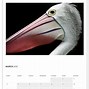 Image result for Wall Calendar Design for 4 Layer