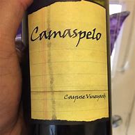 Image result for Cayuse Camaspelo