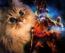 Image result for Galaxy Cat Animated