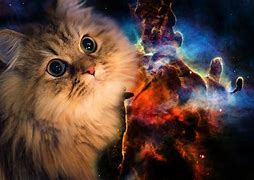 Image result for Galaxy Cat Wallpaper for Laptop HD