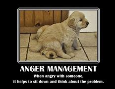 Image result for Image Repressed Anger Funny