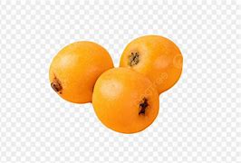 Image result for Pipa Fruit