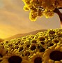Image result for Downloadable Sunflower Screensaver