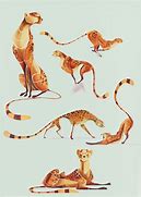 Image result for Cross Cheetah to Falling Star Pose