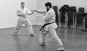 Image result for Karate Master