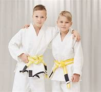 Image result for Karate Kids 9