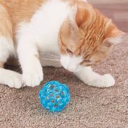 Image result for Cat Toy Ball On Stick