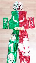 Image result for Rey Mysterio Costume