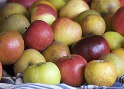 Image result for Heritage Apples Clemmons NC