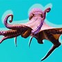 Image result for Octopus Moving