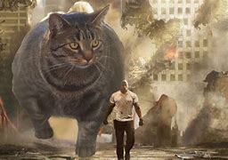 Image result for Buff Pop Cat