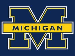 Image result for Michigan Wolverines Football