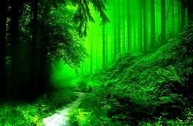 Image result for Dark Green Forest Wallpaper