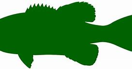 Image result for Bass Fish Silhouette