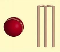 Image result for Cricket Gear