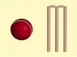 Image result for Equipments in Cricket