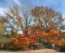 Image result for iPhone 6 Camera Pics Sample