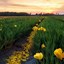 Image result for iPhone Wallpaper Field of Color