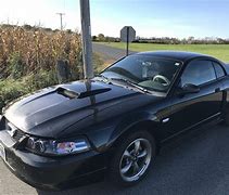 Image result for 2003 mustang centennial edition