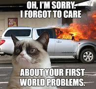 Image result for First W World Problems Meme